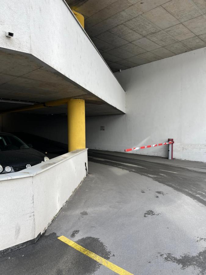 Apartman Didi2- Free Private Parking-Garage Novi Sad Exterior photo